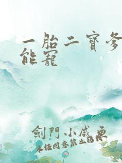 一胎二宝爹地超能宠