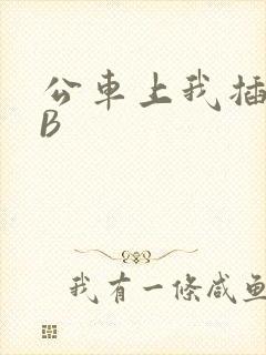 公车上我插上骚B