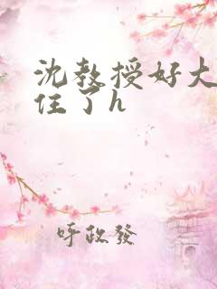 沈教授好大含不住了h