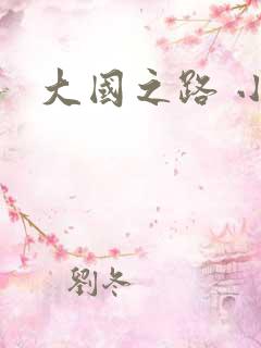 大国之路 小说