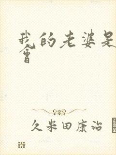 我的老婆是黑社会