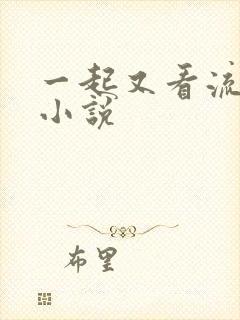 一起又看流星雨小说