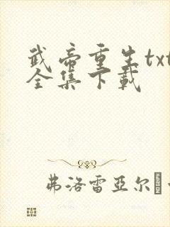 武帝重生txt全集下载