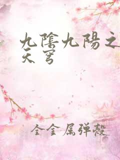 九阴九阳之武战天穹