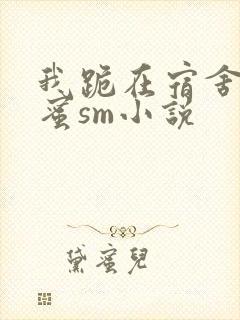 我跪在宿舍被闺蜜sm小说