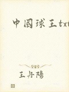 中国球王txt