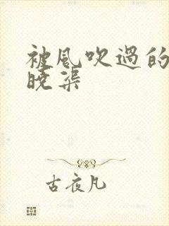 被风吹过的夏天晓渠