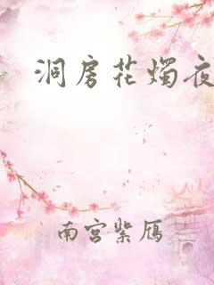 洞房花烛夜小说