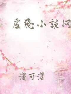 卢飞小说网