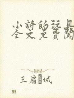 小诗的玩具日记全文免费阅读