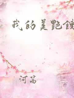 我的美艳馊子