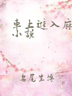 车上进入麻麻的小说