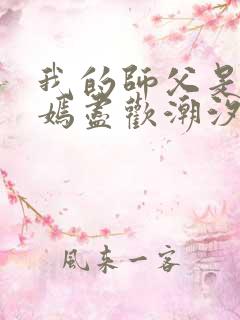 我的师父是王语嫣尽欢潮汐