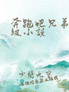 奔跑吧兄弟限制级小说