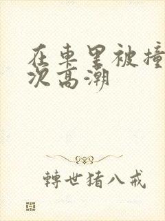 在车里被撞了八次高潮