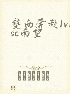 双向奔赴1v1sc南望