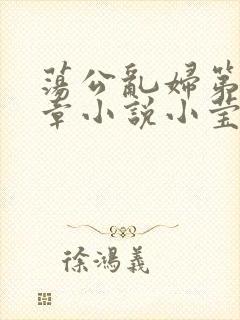 荡公乱妇第51章小说小莹