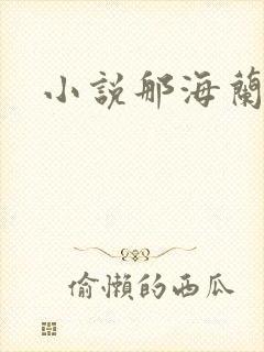 小说那海兰珠
