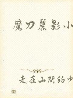 魔刀丽影小说