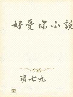 好爱你小说