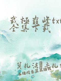 武极巅峰txt全集下载