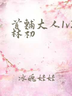 首辅大人1v2林初