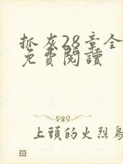 抓灰28章全部免费阅读