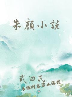 朱颜小说