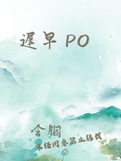 迟早 PO