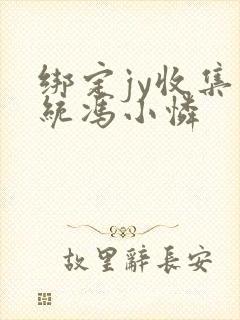 绑定jy收集系统冯小怜