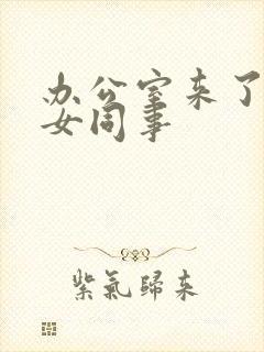 办公室来了极品女同事