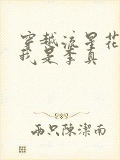 穿越流星花园之我是李真