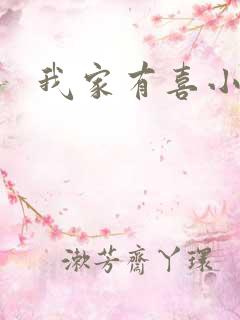 我家有喜小说