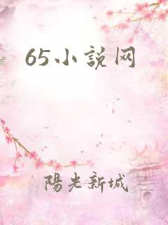 65小说网