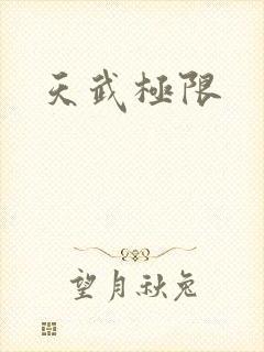 天武极限