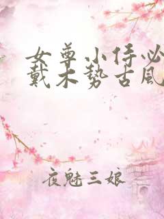 女尊小侍必须佩戴木势古风