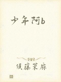 少年阿b