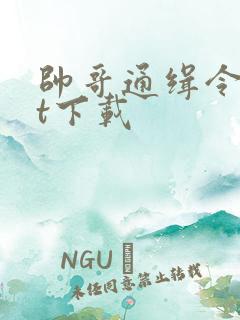 帅哥通缉令txt下载