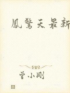 凤惊天最新章节