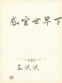 感官世界下载