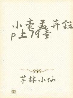 小豪孟卉钰慧三p上79章