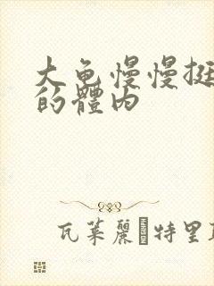 大龟慢慢挺进我的体内