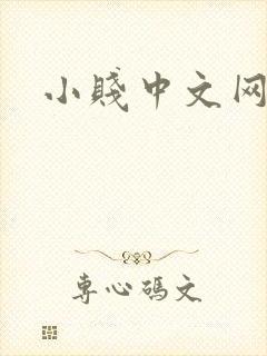 小贱中文网