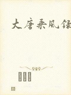 大唐乘风录
