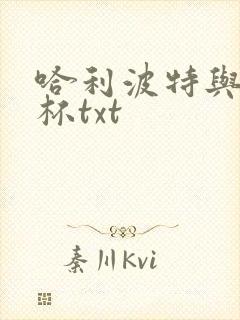 哈利波特与火焰杯txt