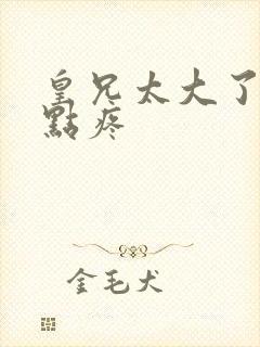 皇兄太大了慢一点疼