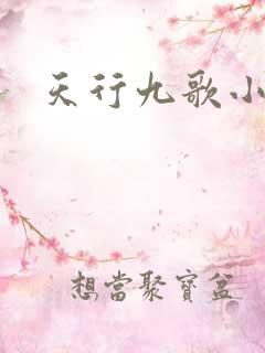 天行九歌小说