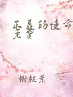 正义的使命全文免费