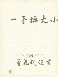 一手抚大小说