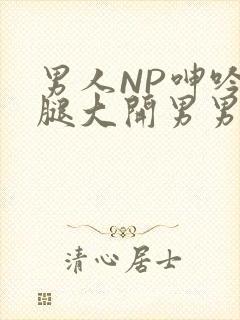 男人NP呻吟双腿大开男男小说